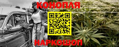 индика Бердск