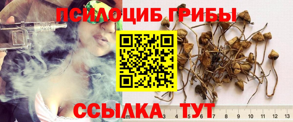 Псилоцибиновые грибы прущие грибы Ковров