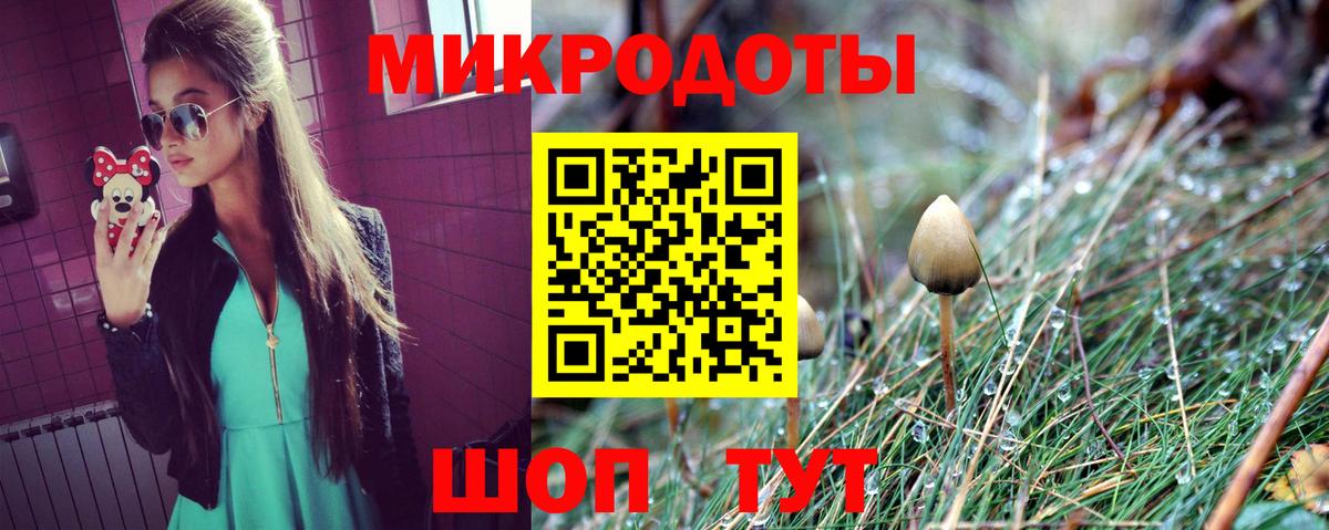 Псилоцибиновые грибы мицелий  Вход с VPN  Ковров 
