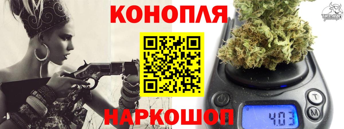 Конопля сатива Ковров
